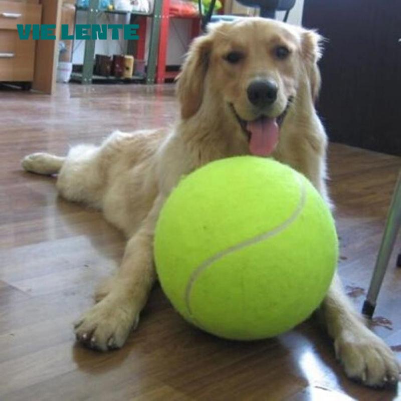 7/8/9.5 インチ犬テニスボール巨大なペットのおもちゃ犬 - Pet Supplies In Bulk のレビューと価格