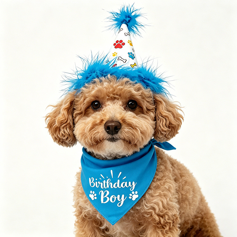 犬の誕生日パーティーセット バンダナ スカート 帽子 蝶ネク - Pet Supplies In Bulk のレビューと価格