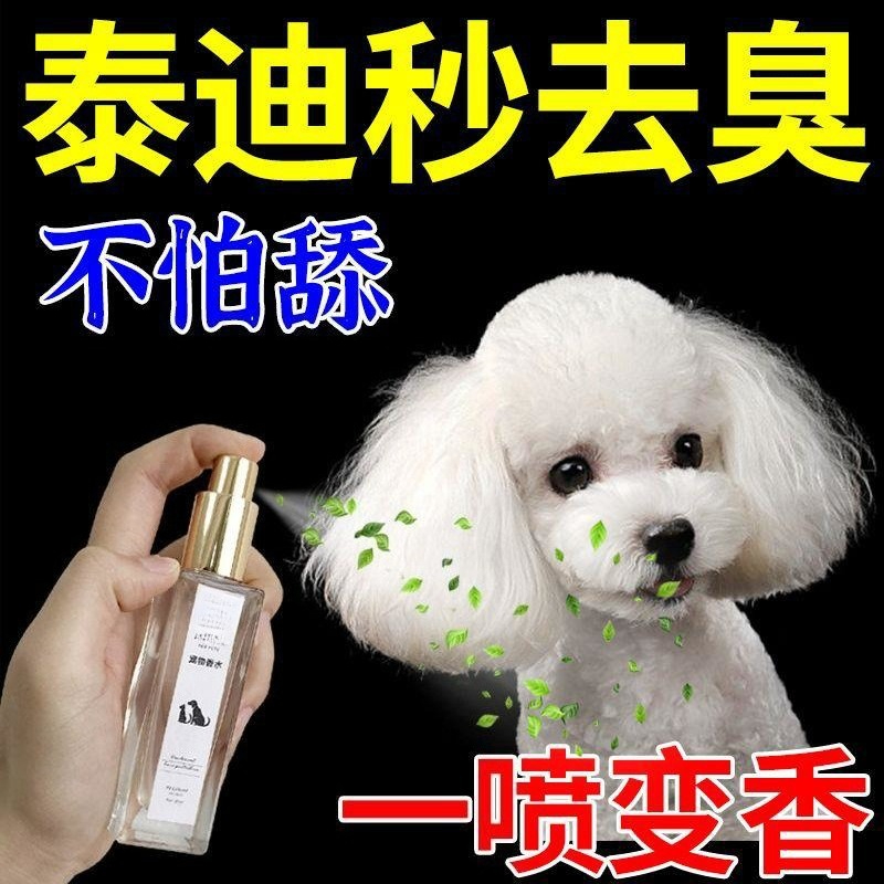 テディ犬専用ペット用コロン、長時間持続、安全な摂取可能、体臭 - Pet Cologne Spray のレビューと価格
