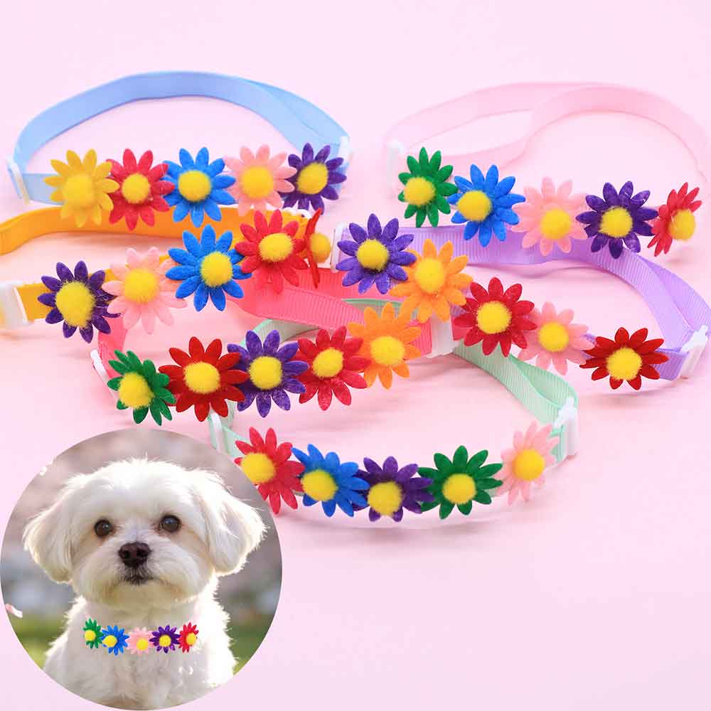 50 個のカラフルな犬の蝶ネクタイ花のアクセサリー小型犬用蝶 - Pet Supplies In Bulk のレビューと価格