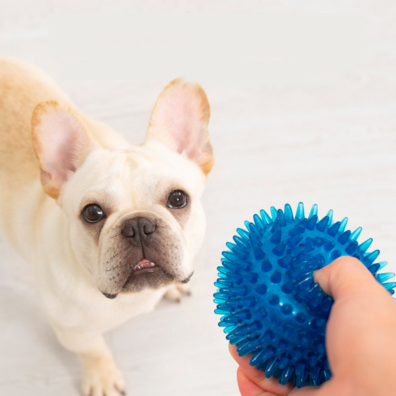 ペット用の咬傷に強いプレイボール、高弾性、フレンチブルドッグ - Pet Supplies In Bulk のレビューと価格