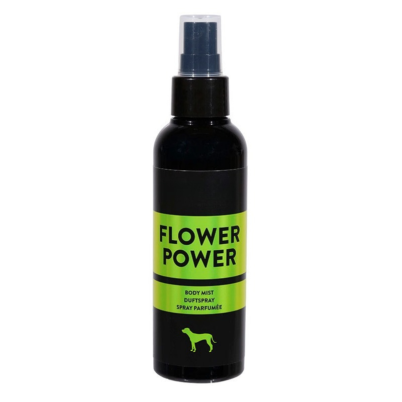 大容量ペット用消臭コロンスプレー 長持ちする香り 犬猫のグル - Pet Cologne Spray のレビューと価格