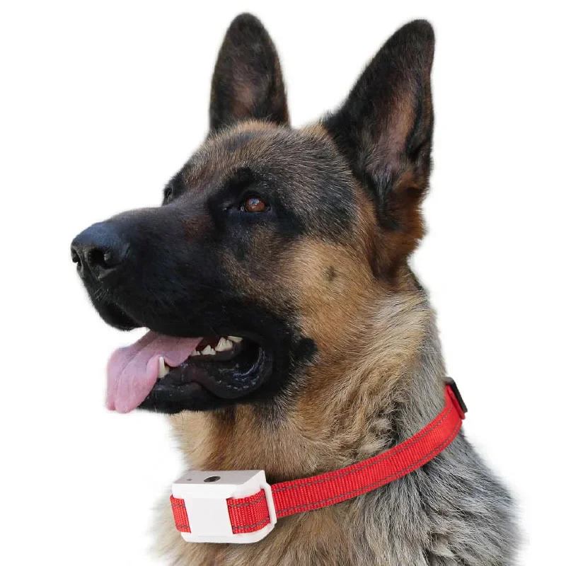 シトロネラ-樹皮防止首輪,犬用スプレー,充電式,防水,耐衝撃 - Pet Cologne Spray のレビューと価格