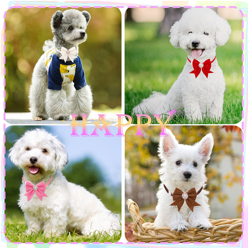 犬の花の蝶ネクタイ、ダイヤモンドパール、犬のグルーミングアク - Pet Supplies In Bulk のレビューと価格