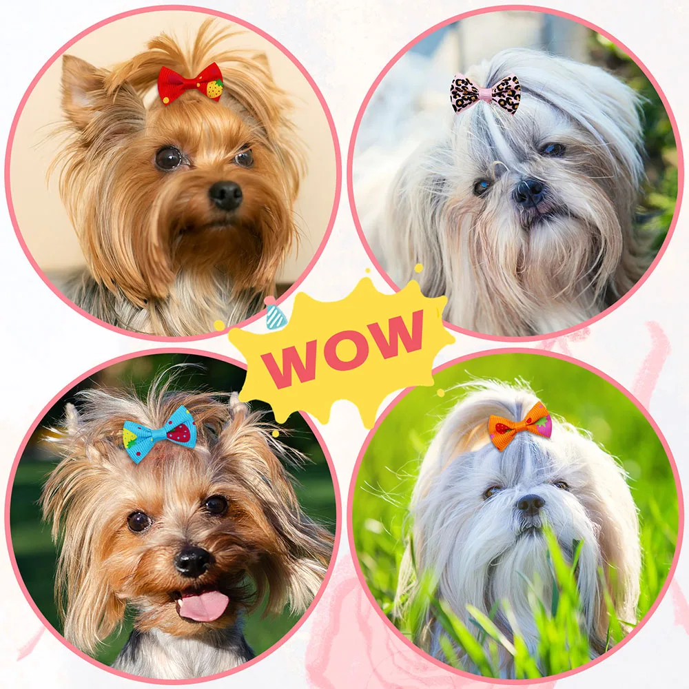 50 個犬弓ゴムバンド付き手作りペット弓犬と猫子犬弓ペットグ - Pet Supplies In Bulk のレビューと価格